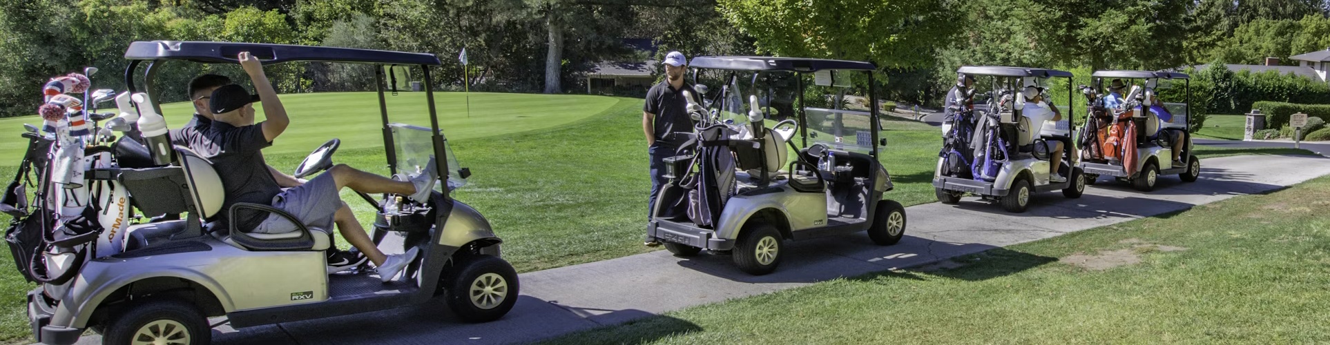 golf carts, golf cart,2 seater golf cart