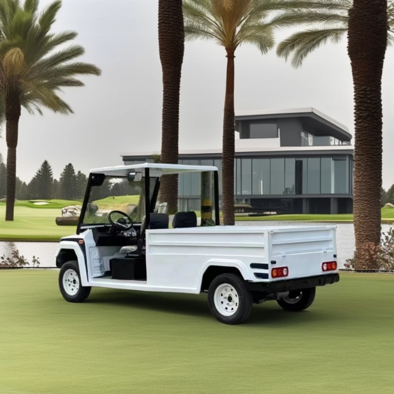 Electric Golf Cart with Dump Bed for Sale in Netherlands