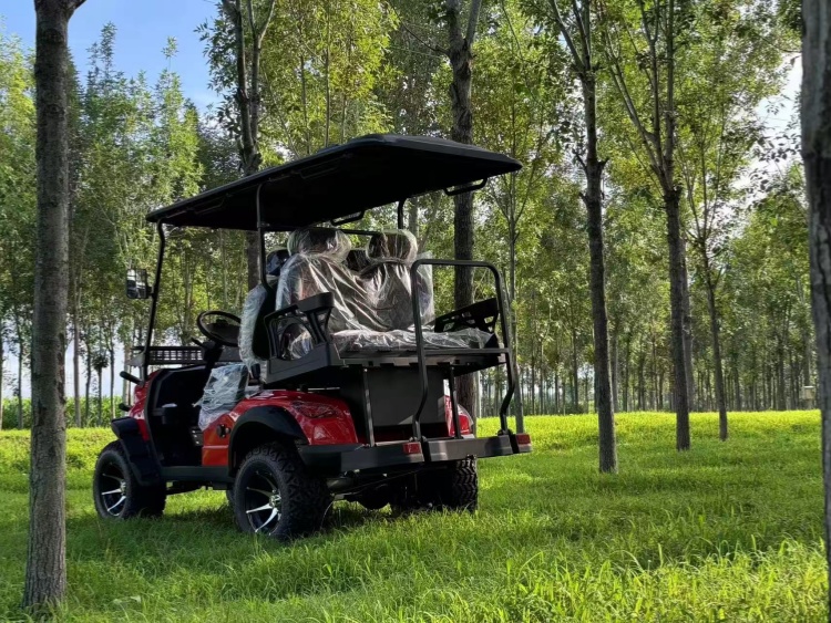 JERRY ZXK 2+2 Seater Electric Golf Cart for Sale in Austria