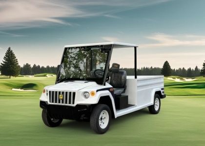  JERRY HM2 Electric Golf Cart with Dump Bed for Sale in Netherlands