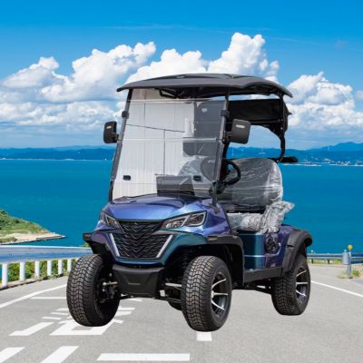 JERRY ZXK Electric Golf Buggy 2 Seater